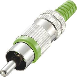 Foto van Tru components 719294 cinch-connector stekker, recht aantal polen: 2 groen 1 stuk(s)