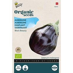 Foto van Buzzy - organic aubergine black beauty (bio)