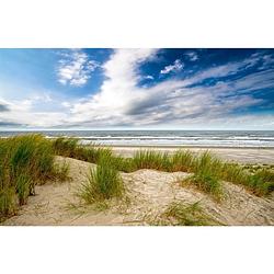 Foto van Tuinschilderij strand wolk 70x130 cm