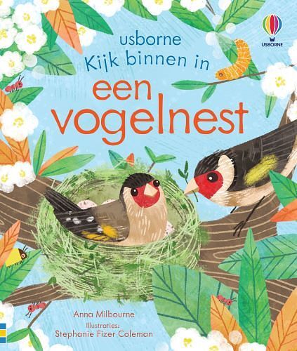 Foto van Een vogelnest - kartonboekje;kartonboekje (9781801315807)