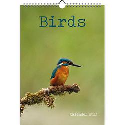 Foto van Birds kalender 2023