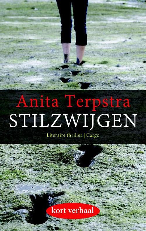 Foto van Stilzwijgen - anita terpstra - ebook