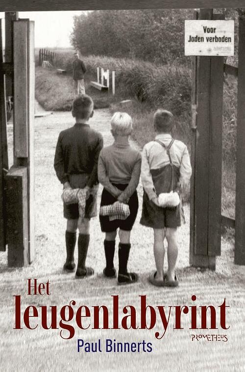 Foto van Het leugenlabyrint - paul binnerts - ebook (9789044647266)