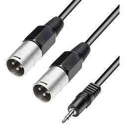 Foto van Paccs paccs xlr adapterkabel [2x xlr-stekker - 1x jackplug male 3,5 mm] 3.00 m zwart