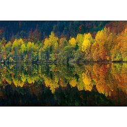 Foto van Wizard+genius autumn forest lake vlies fotobehang 384x260cm 8-banen