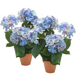 Foto van 2x stuks blauwe hortensia kunstplant in terracotta pot 40 cm - kunstplanten