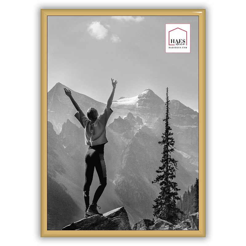 Foto van Haes deco - kunststof fotolijst a4 / 21x29,7 goud easy frame - ef11g