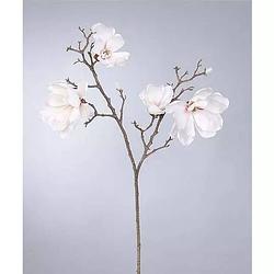 Foto van Magnolia tak 2-taks cream 86 cm kunstplant