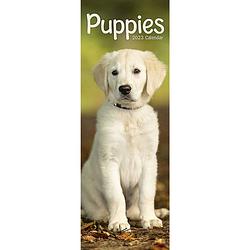 Foto van Puppies kalender 2023 slimline