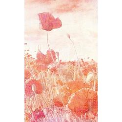 Foto van Dimex poppies abstract fotobehang 150x250cm 2-banen