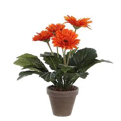 Foto van Gerbera kunstplant oranje in keramiek pot h35 cm - kunstplanten/nepplanten met bloemen