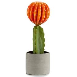 Foto van Ibergarden cactus 13 x 13 x 41 cm oranje