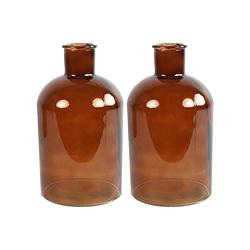 Foto van 2x stuks countryfield vaas - bruin - glas - apotheker fles vorm - d17 x h30 cm - vazen