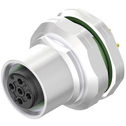 Foto van Weidmüller 2422070000 sensor/actuator steekconnector m12 aantal polen: 8 bus, inbouw verticaal 10 stuk(s)