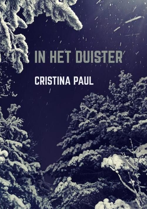 Foto van In het duister - cristina paul - paperback (9789464183856)