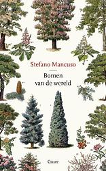 Foto van Bomen van de wereld - stefano mancuso - paperback (9789464520033)