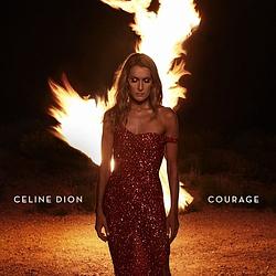 Foto van Courage - cd (0194397018127)