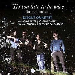 Foto van 'stis too late to be wise - cd (3149020939987)