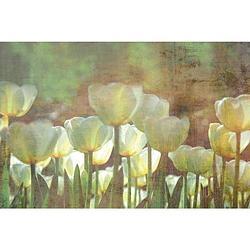 Foto van Dimex white tulips abstract fotobehang 375x250cm 5-banen