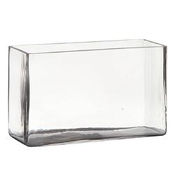 Foto van Transparante rechthoek accubak vaas/vazen van glas 25 x 10 x 15 cm - vazen