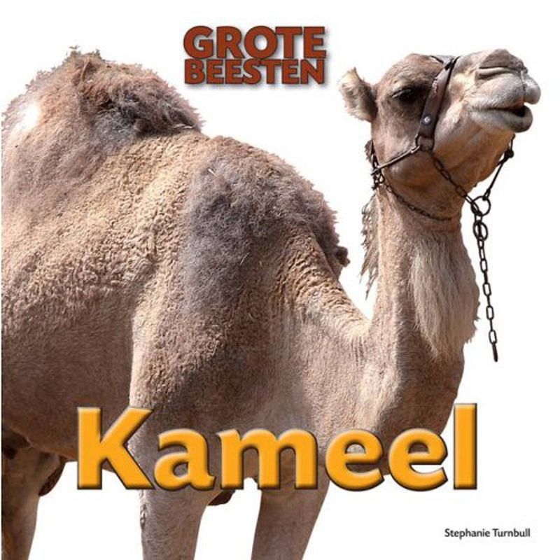 Foto van Kameel - grote beesten