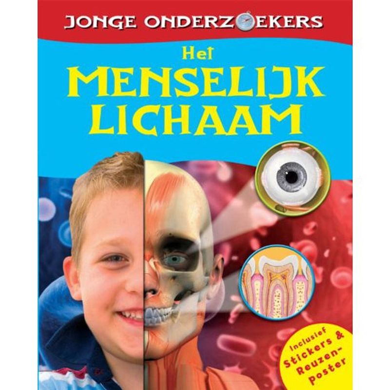 Foto van Het menselijk lichaam - jonge onderzoekers