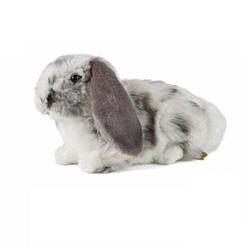 Foto van Pluche grijs/wit hangoor konijn knuffel 30 cm speelgoed - knuffel huisdieren