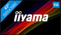 Foto van Iiyama prolite le4340s-b3