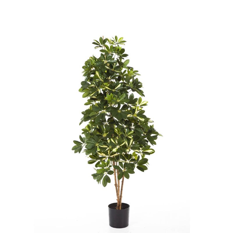 Foto van Kunstplant schefflera - 110 cm