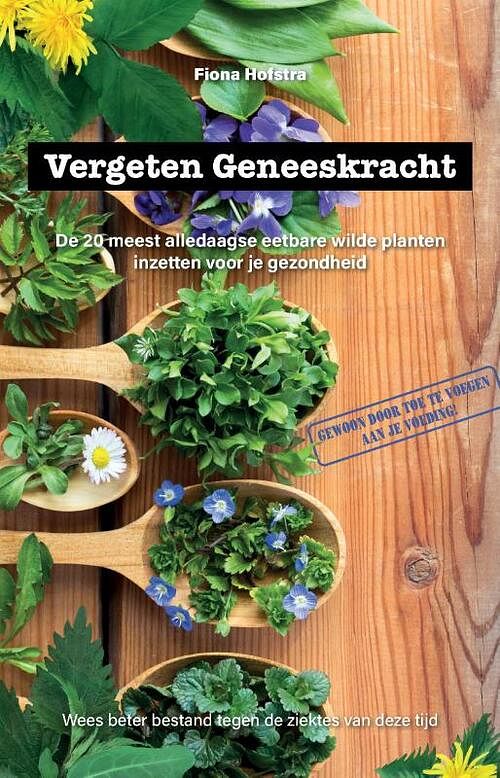 Foto van Vergeten geneeskracht - fiona hofstra - paperback (9789464068108)