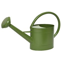 Foto van Groene zinken tuinbewatering/kamerplanten gieters 5 liter - gieters