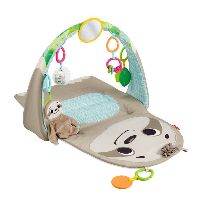 Foto van Fisher-price ready to hang sensorische luiaard activity center