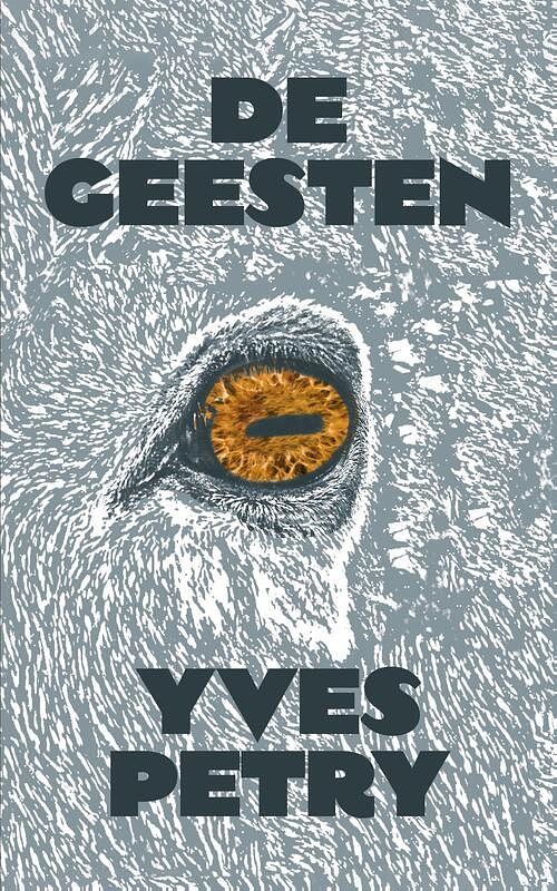 Foto van De geesten - yves petry - ebook (9789492478924)