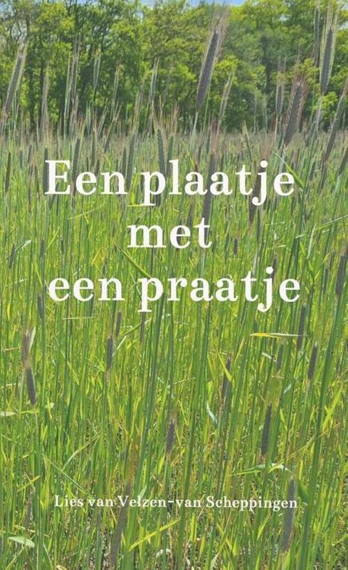 Foto van Een plaatje met een praatje - lies van velzen-van scheppingen - paperback (9789464487152)