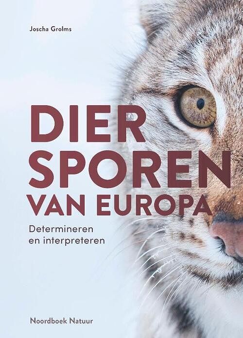 Foto van Diersporen van europa - joscha grolms - hardcover (9789056159207)