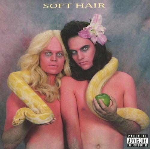 Foto van Soft hair - cd (0887833007822)