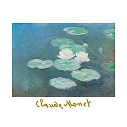 Foto van Claude monet - ninfee nella luce kunstdruk 80x60cm