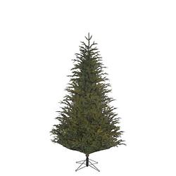 Foto van Black box frasier kerstboom groen - h185xd124cm