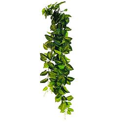 Foto van Hem drankenklimop (syngonium) kunstplant volle hangplant - kunstplant 100 cm - levensechte kunstplant