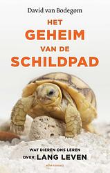 Foto van Het geheim van de schildpad - david van bodegom - ebook (9789045038940)