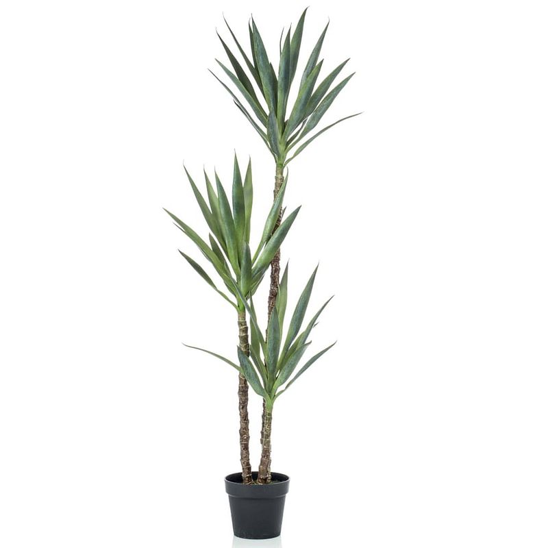 Foto van Emerald kunstplant in pot yucca 150 cm