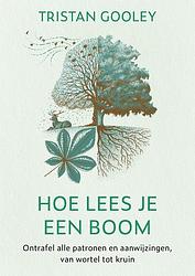 Foto van Hoe lees je een boom - tristan gooley - ebook