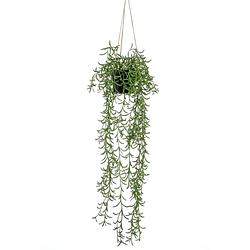 Foto van Emerald kunstplant hangend in pot senecio 70 cm