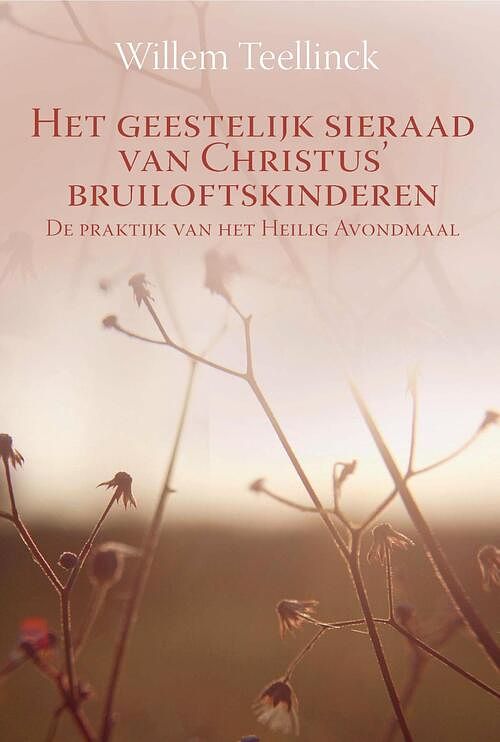 Foto van Het geestelijk sieraad van christus's bruiloftskinderen - willem teellinck - ebook (9789087181659)