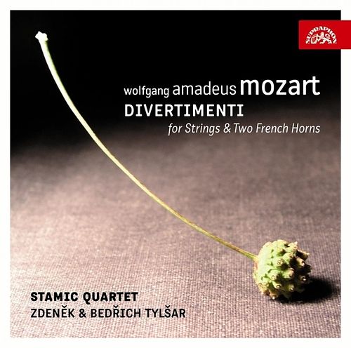 Foto van Mozart: divertimenti for string quartet and two french horns - cd (0099925397920)