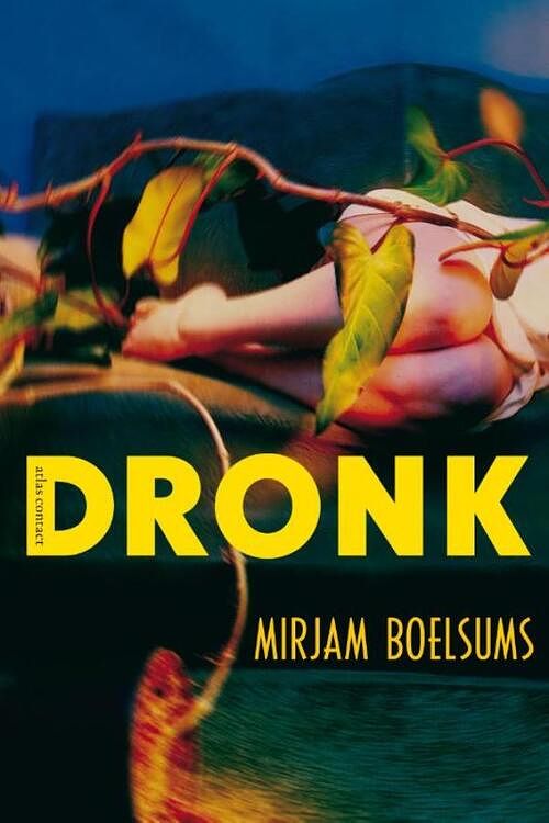 Foto van Dronk - mirjam boelsums - ebook (9789045705309)