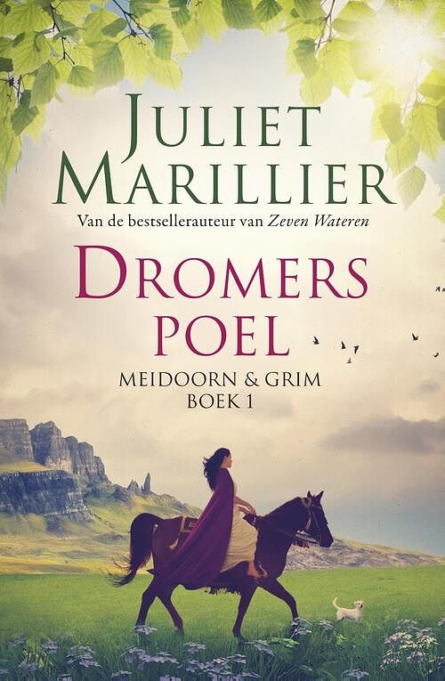 Foto van Meidoorn en grim 1 - dromerspoel - juliet marillier - ebook (9789024570386)