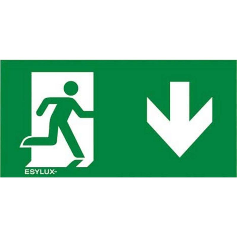 Foto van Esylux en10077180 pictogram nooduitgang naar beneden