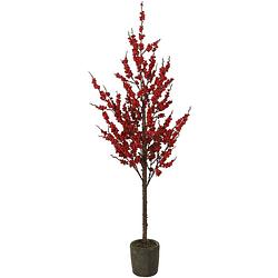 Foto van Tom kunstplant pyracantha 171 cm zijde rood