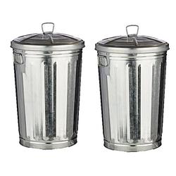 Foto van 2x stuks vuilnisbakken/vuilnisemmers zilver met deksel 17 liter 36 cm metaal - prullenbakken